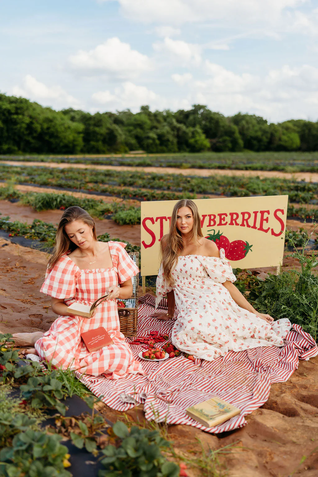 Elena 100% Cotton Gingham Midi Dress in Red - Bump Friendly - Image 36